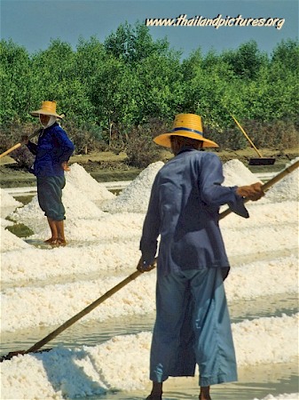 Salt laying on the ground to let it dry in the sun.