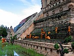 Thai monks